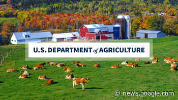 USDA Names 2023 Agricultural Outlook Forum Future Leaders in ... - USDA.gov