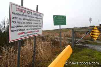 Delta's River Road parking rules angers trail visitors - Delta Optimist