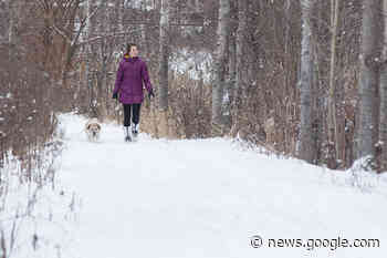 Concerns raised about speeding e-bikes on Salmon Arm's ... - Salmon Arm Observer