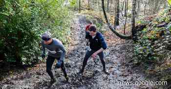 Na Fortloop nu ook eerste Lippelobos Trailrun | Puurs-Sint-Amands ... - Het Laatste Nieuws