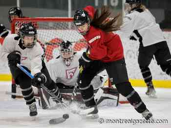 Hickey on hockey: For the love of the game — women's hockey on upswing