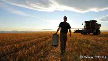 Alberta will fare better than other provinces if recession comes, report says