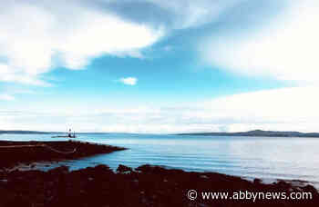 BODGER: Blue Monday is bogus, stop looking for reasons to be sad