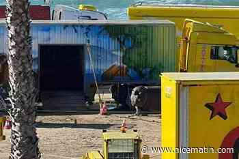 "On voit un hippopotame enfermé dans un container, les fauves hurlent toute la nuit": à Six-Fours, la fronde augmente autour du cirque