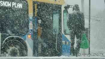 Nova Scotia gets first major blast of winter