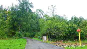Steinen: Mast steht in etwa einem Jahr - Steinen - www.verlagshaus-jaumann.de