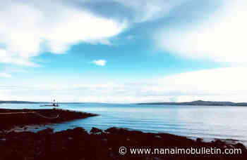 BODGER: Blue Monday is bogus, stop looking for reasons to be sad