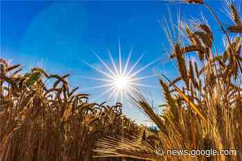 Unterschiedliche Werte in Balingen: Was stimmt denn nun – 2491 ... - Zollern-Alb-Kurier