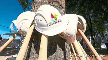 Weitere Kreditaufnahmen nötig: Gartenschau kommt Balingen teurer ... - Schwarzwälder Bote