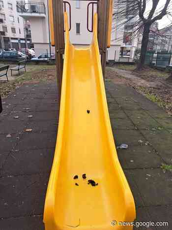 BEINASCO - Incivili in azione al parco giochi: feci sullo scivolo dei ... - TorinoSud
