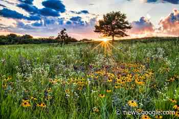 15 Free Things to Do in Elgin, IL - Travel Lens