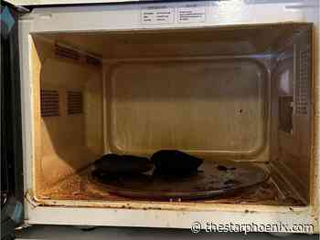 Chance Southey RCMP visit becomes rescue of woman from smoke-filled home