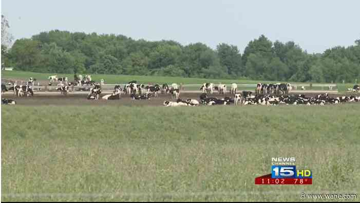 Northeast Indiana cattle farm to add 78-acre operation to "grow" 8,000 cows