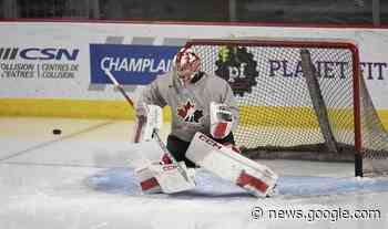 Strong goaltending the backbone of Quebec Remparts success this ... - Virden Empire Advance