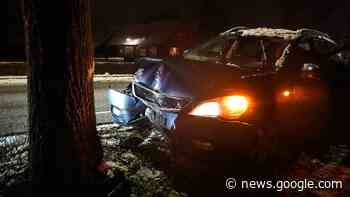 112-nieuws: bestuurder knalt tegen boom • zoektocht naar man ... - Omroep Brabant