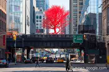 Pamela Rozenkranz plaatst roze boom in New York - Mixed Grill