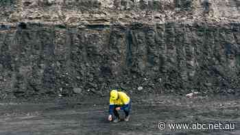 Overseas calls to scrutinise Indian bank giant's 'hopeless bet' on collapsed Griffin Coal mine
