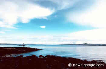 EDITORIAL: Blue Monday concept is bogus - Chilliwack Progress