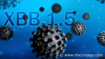Which Symptoms Are Associated With New COVID Variant XBB.1.5 as Midwest Cases Rise?