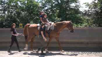 Sonja in Ostfildern: Hippotherapie in Scharnhausen - Landesschau ... - swrfernsehen.de