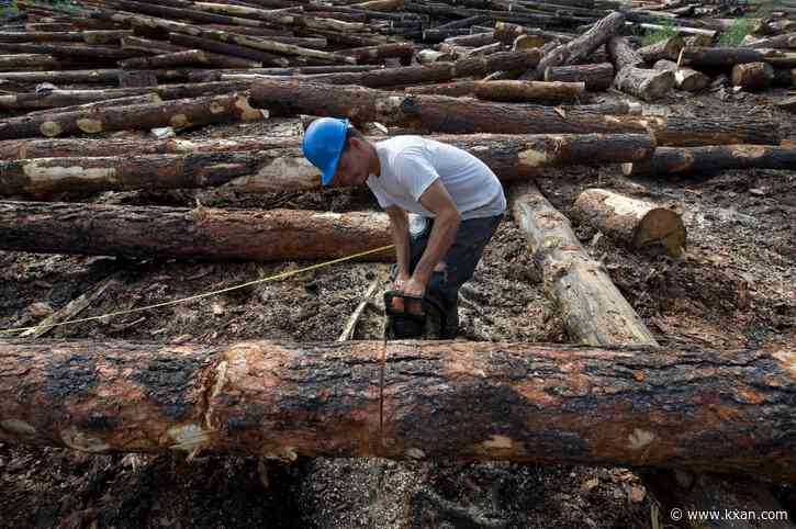 Forestry expert aims to fortify laws on timber-theft