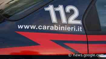 Rapinatore armato e assonnato messo in fuga dalla titolare della ... - LaVoce