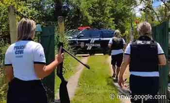 PCPR investiga homem que atirou em dois cachorros em Antonina - Correio do Litoral