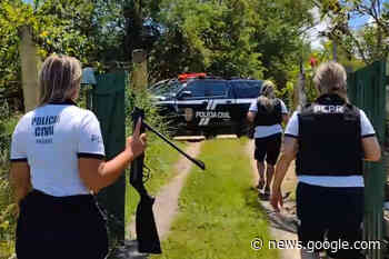 PCPR investiga homem que atirou em cachorros em Antonina - aen.pr.gov.br