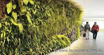 Living walls the next way to stay cool as power bills climb