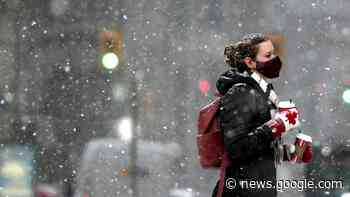 Light snow, risk of freezing drizzle in Ottawa - CTV News Ottawa