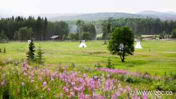 Consensus agreements a 'new beginning' for co-operation between B.C. government, First Nations: Chief