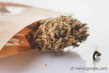 Lauterbach bestellt Gutachten zur Legalisierung - Hanf News ... - Hanf Magazin