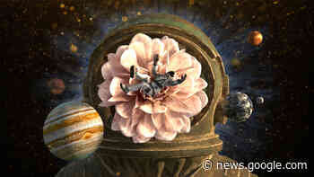 Hsin-Chien Huang Reimagines Virtual Reality at Pratt Manhattan ... - Hyperallergic