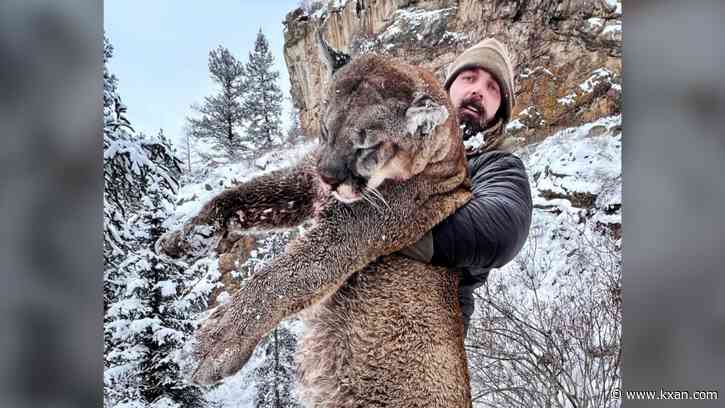 Ex-Bronco Derek Wolfe kills huge mountain lion in Colorado -- with a bow