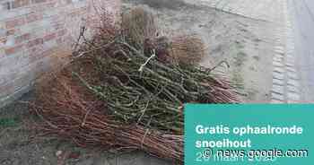 Snoeihout liggen? Imog haalt gratis op op 20 maart | Avelgem | hln.be - Het Laatste Nieuws