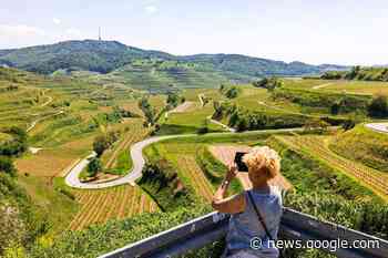 Neue Broschüre informiert über Hotels, Ferienwohnungen und ... - badische-zeitung.de