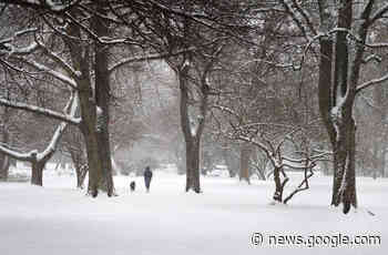 Rollt jetzt eine "Schnee-Walze" auf Reutlingen zu? - Reutlingen - Reutlinger General-Anzeiger