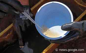 CRESCE ÍNDICE DE INFESTAÇÃO DO MOSQUITO DA DENGUE ... - FOLHA REGIONAL DE CIANORTE