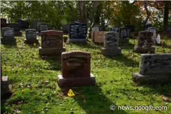 Arrest made in connection with Belleville Cemetery Mischiefs - Napanee Today