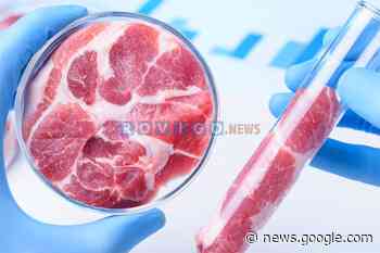 Fratelli d'Italia si interroga sul futuro del settore primario - Rovigo.News