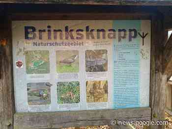 Baumschutzgruppe protestiert gegen Verwüstung im ... - www.lokalkompass.de