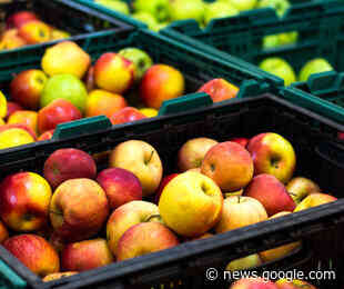 Mercato Agricolo a Montebelluna da Sabato si Amplia Anche in Via ... - Virgilio