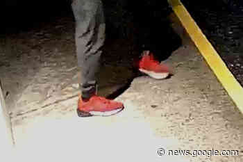 New photos released of Maple Ridge food bank theft suspects - Maple Ridge News