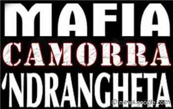 La zona grigia - Soverato Web