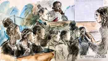 7 of 8 teens accused in Toronto 'swarming' attack make court appearance for bail proceedings