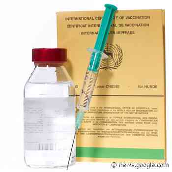 Impfung schützt: Fälle von Staupe jetzt auch in Lohmar - Lohmar - Rheinische-Anzeigenblätter.de