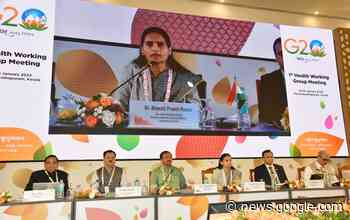 India will decide Global Health architecture: WHO Officials laud ... - NewsOnAIR