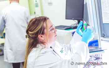 Q&A: Maker of novel architecture for perovskite solar films envisions ... - PV-Tech