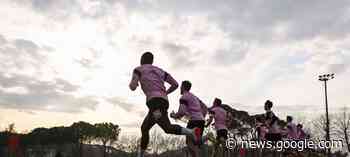 Palermo-Bari: i convocati - Palermo FC