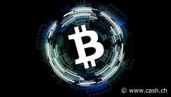 Das Reich der Krypto-Holding Digital Currency Group